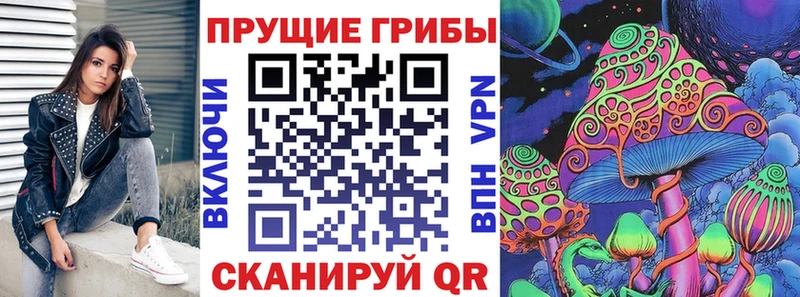 Галлюциногенные грибы Psilocybe  закладки  Спас-Клепики 